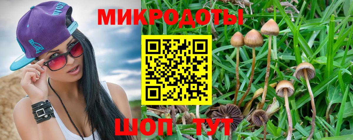 Белая Калитва  Псилоцибиновые грибы Magic Shrooms  Вход с VPN 